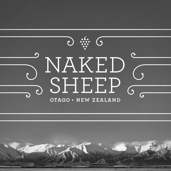 Naked Sheep – Packaging